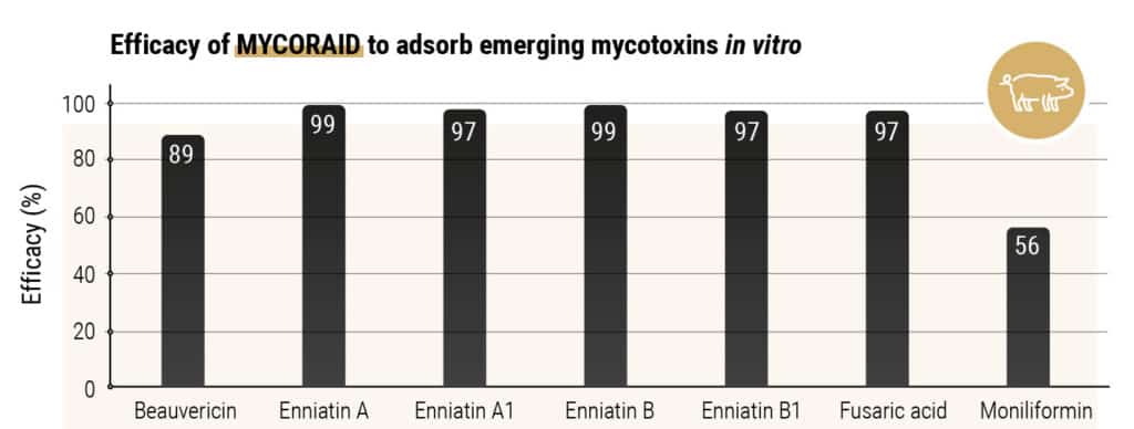 Efficacy of MYCORAID to adsorb emerging mycotoxins in vitro