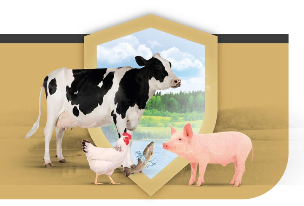 Multilayered mycotoxin control