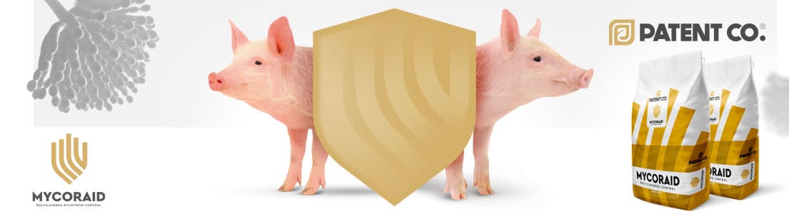 EFFECT OF MYCOTOXINS ON SOW REPRODUCTION AND HEALTH