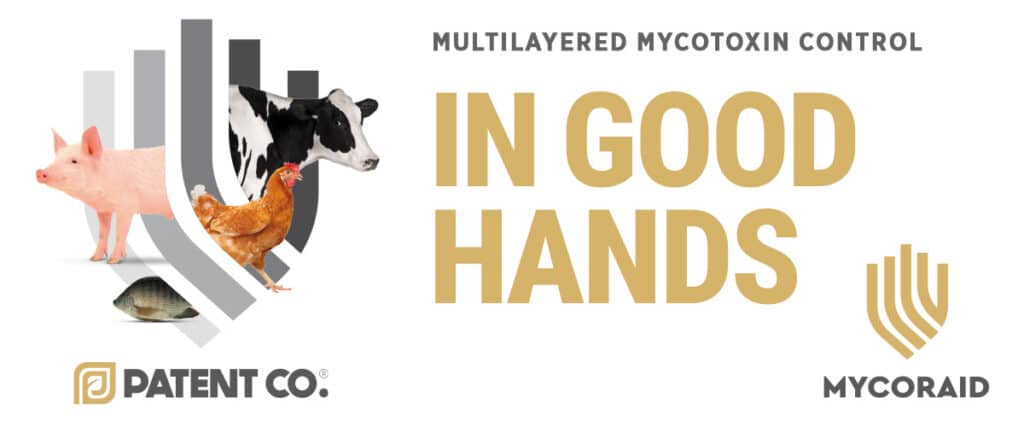 Multilayered mycotoxin control