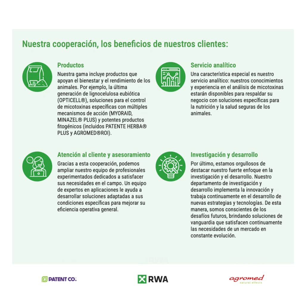 Historia Slide
