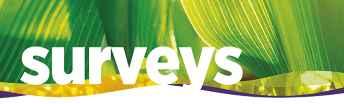 Surveys Feature